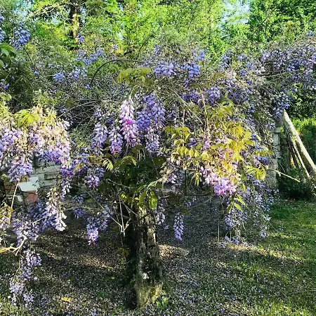 In Toscana A Due Passi Da Saturnia Jaktstuga *
