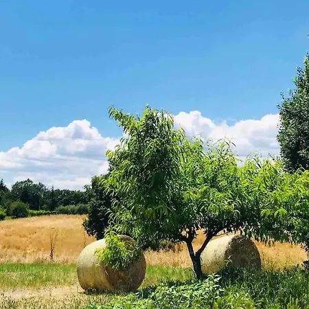 Lodge In Toscana A Due Passi Da Saturnia San Giovanni delle Contee